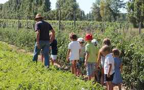 Unterwegs auf den Feldern